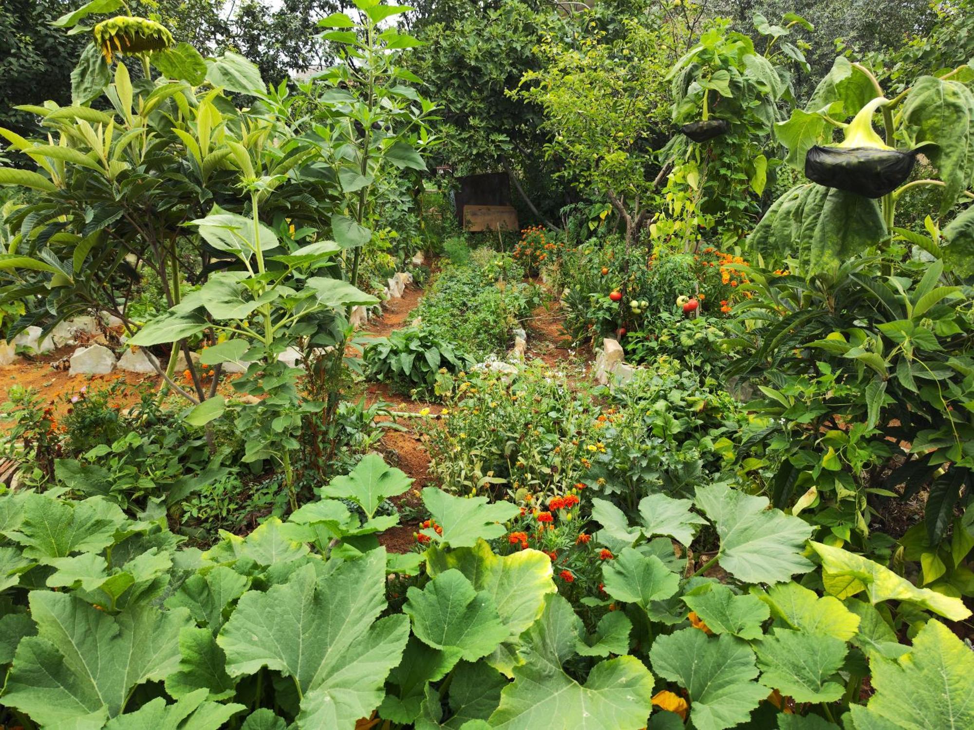 Berdavan Guesthouse Exterior photo